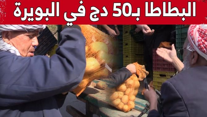 ضخ كميات معتبرة من مخزون البطاطا في الأسواق بسعر 50 دج