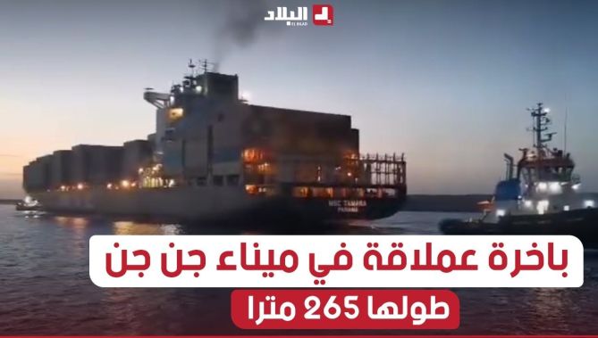 لأول مرة في الجزائر.. دخول أكبر باخرة لنقل الحاويات بميناء جن جن بولاية جيجل ويبلغ طولها 265 متر