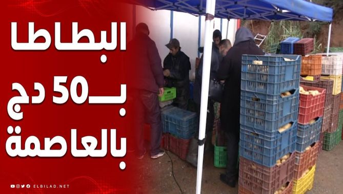 البطاطا بـ50 دج في العاصمة! شاهدوا: