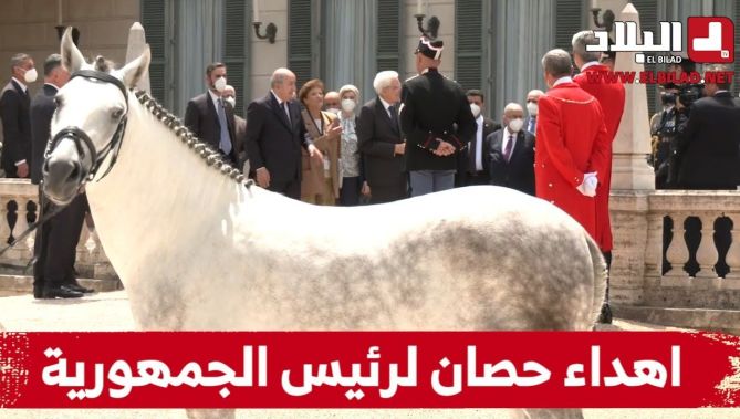 خلال زيارته إلى ايطاليا.. اهداء حصان لرئيس الجمهورية عبد المجيد تبون