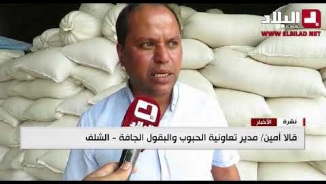 الشلف: فتح نقاط بيع للبقوليات بأسعار معقولة .. تسويق الحمص بـ"100دج "والعدس بـ"200 دج"