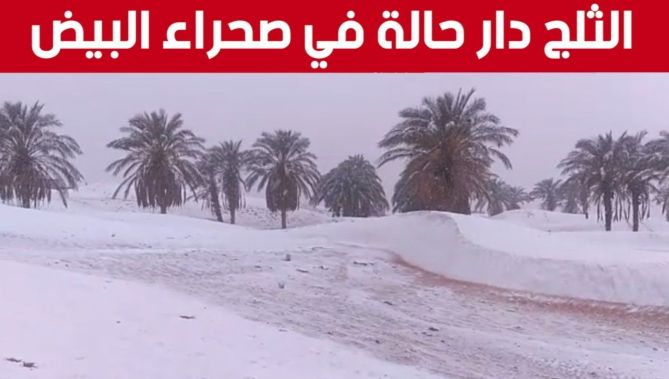 في مشـهد نـادر .. صور تسـاقط #الثــلوج في الصحـراء ببلدية البـنود #بالبيـض