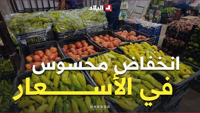 أسعار الخضر في أسواق عنابة.. تراجع محسوس في انتظار المزيد