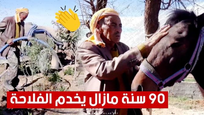سنه يقارب الـ90 سنة إلا أن حبه للفلاحة وخدمة الأرض جعله يحول مكبا للنفايات إلى أرض فلاحية خضراء 🌳😍