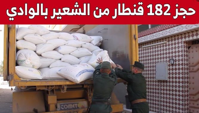 مصالح الدرك الوطني بالوادي تتمكن من حجز 182 قنطارا من مادة الشعير كانت موجّهة للمضاربة.. شاهد