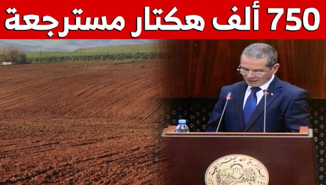 وزير الفلاحة: استرجاع 750 ألف هكتار في إطار التطهير العقاري