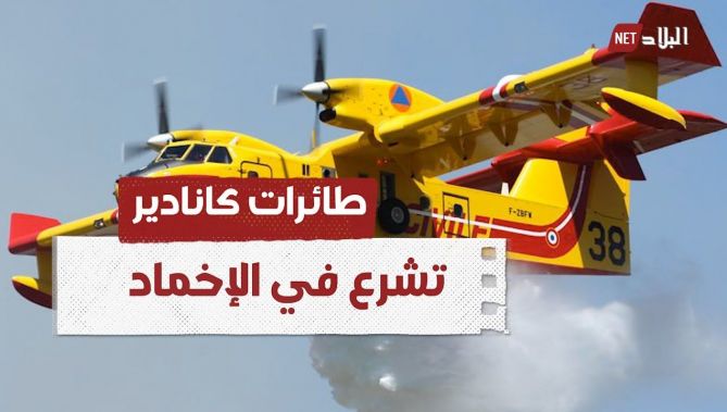 طائرات "كانادير" تشرع في إخماد الحرائق مباشرة بعد هبوطها بمطار هواري بومدين الدولي.. شاهد