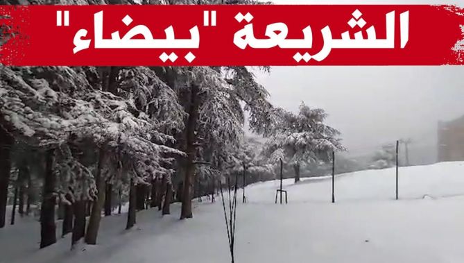 شاهدوا .. تساقط كثيف للثلوج بمنطقة "الشريعة" بالبليدة