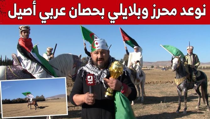 شاهد.. حمودة من ولاية برج بوعريريج يتعهد بمنح محرز وبلايلي حصان عربي أصيل.."فرحونا برك"
