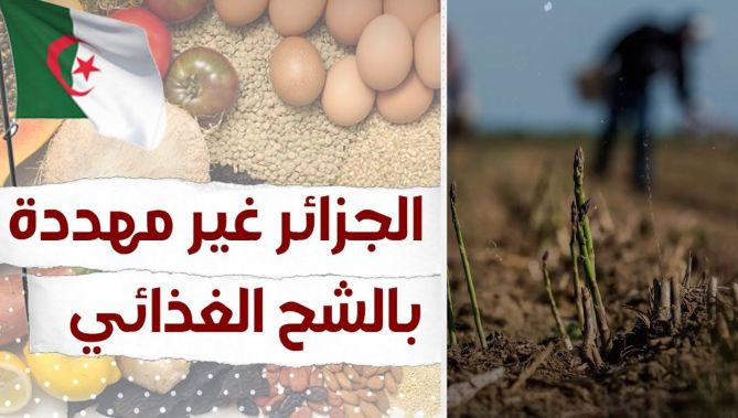 دراسة تضع الجزائر خارج قائمة الدول المهددة بشحّ الغذاء.. شاهد