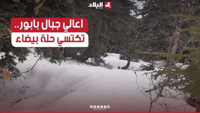 أعالي جبال "بابور" في سطيف تكتسي حلة بيضاء بتساقط الثلوج.. شاهد: