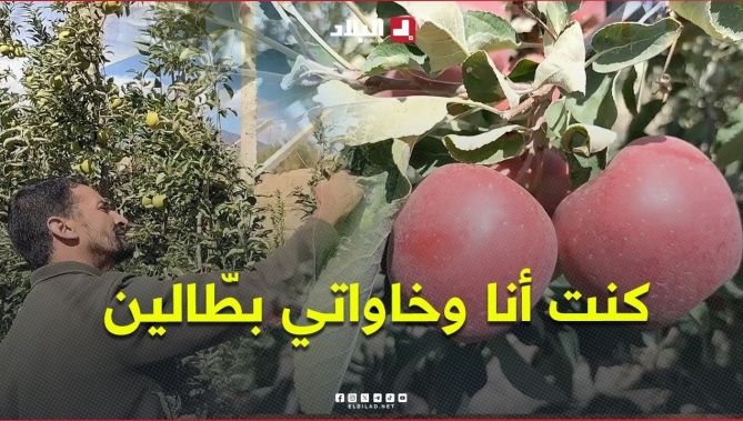 "كنت أنا وخاواتي بطّالين".. شاهدوا كيف حوّل فلاح وأخوته أرضهم إلى مستثمرة فلاحية