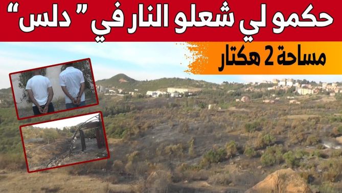 بومرداس: الدرك الوطني يوقف شخصين متهمين بإضرام النـ.ـار وإتلاف الثروة الحيوانية والنباتية.. شاهد