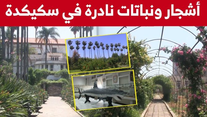 جامعة سكيكدة تحتضن أشجارا ونباتات نادرة وحيوانات محنطة جاوزت القرن.. شاهدوا