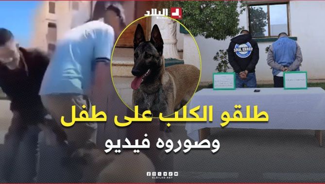 " أحدهما قام بتحريض الكلب على طفل قاصر والٱخر قام بتصوير الحادثة " .. الدرك الوطني يوقف المتورطين