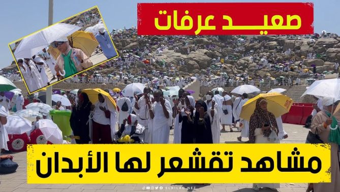 بعدســة البلاد .. مشاهد تقشعر لها الأبـــدان للحجاج في صعيــد عرفة الركن الأعظم للحج