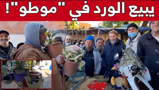 "يبيع الورد فالموطو" .. ميلود دكيك متقاعد من مستغانم ينتج شتلات الزينة ويسوقها بطريقة فريدة من نوعها