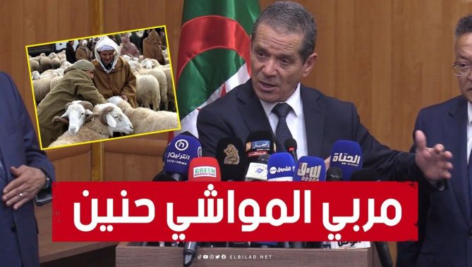 وزير الفلاحة: مربي المواشي "حنين" وليس هو المسؤول عن عمليات المضاربة.. شاهدوا: