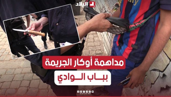 خمور ومهلــوسات وسكـاكين بين أيدي المافيا.. شرطة العاصمة تقوم بمداهمة أوكار الجريمة في #باب_الوادي