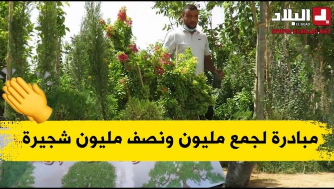 الشلف: مبادرة لجمع مليون ونصف مليون شجيرة وارسالها للولايات المتضررة من الحرائق.. شاهدوا