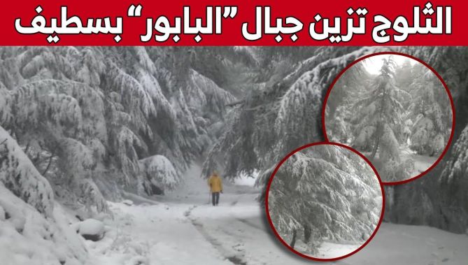 "جبال البابور" في سطيف تكتسي حلة بيضاء بعد تساقط كثيف للثلوج.. شاهدوا