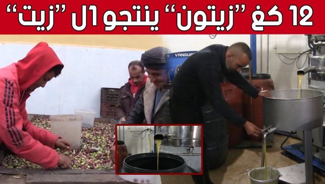 بدراوي" مستثمر من عين الدفلى يطور معصرته التقليدية للزيتون ويوفر مناصب شغل للشباب... شاهدوا"