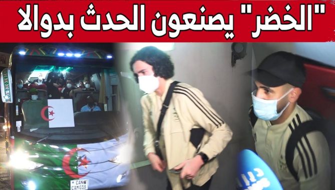 هكذا استقبل "محاربي الصحراء"في فندق أومونو بـ#دوالا الكاميرونية .. شاهد