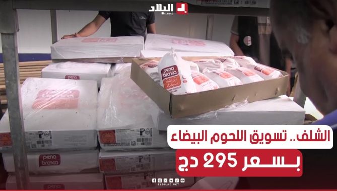 #الشلف: الإنطلاق في عملية #تسويق #اللحوم_البيضاء بسعر 295دج