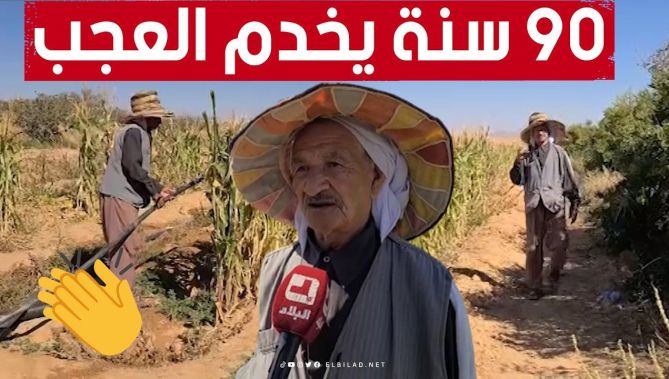 "يخدم الأرض".. تسعيني من البيّض يقطع عشرات الكيلومترات يوميا لإعالة أسرته 👏😍
