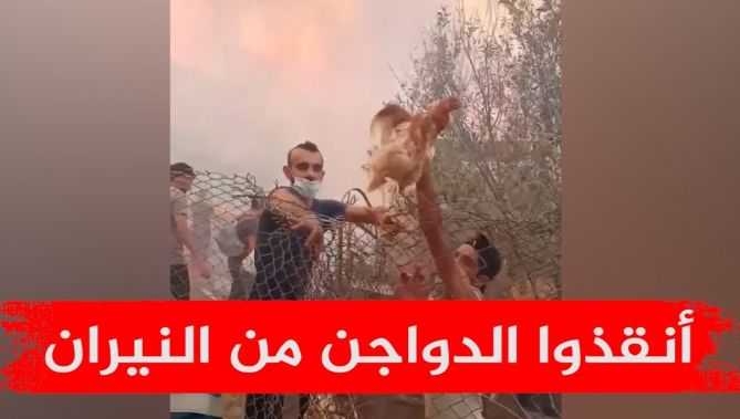 شاهد كيف تعامل سكان قرية ايث عبد المومن بتيزي وزو مع الدواجن بعد ان حاصرتهم النيران