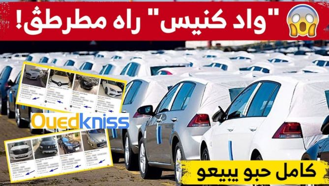 توافد غير مسبوق للجزائريين على موقع وادكنيس قصد بيع سياراتهم بعد يوم من اعلان عودة استيراد السيارات