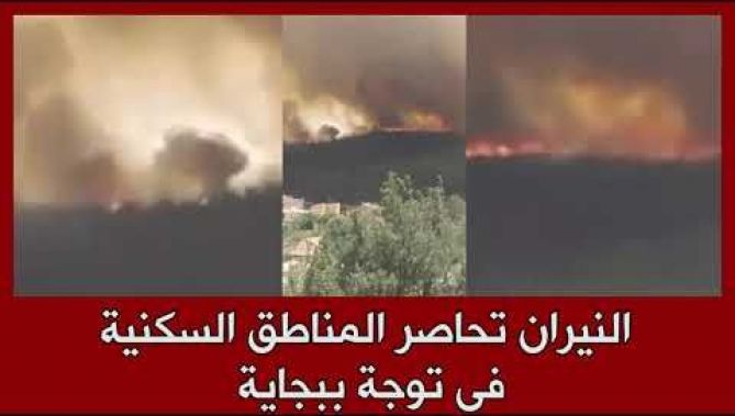 النيران تحاصر المناطق السكنية في توجة ببجاية