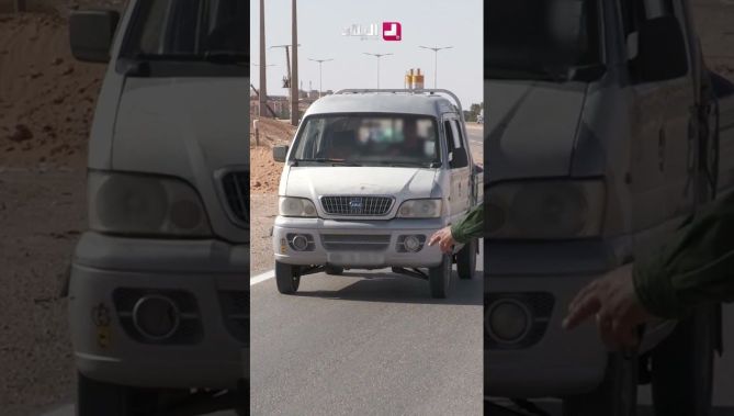الدرك الوطني بـ #ورقلة يسترجع 05 حيوانات محمية مهددة بالانقراض من صنف الفنك الصحراوي