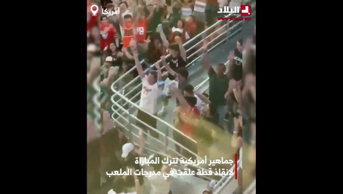 جماهير أمريكية تترك المباراة لإنقاذ قطة علقت في مدرجات الملعب.. شاهدوا