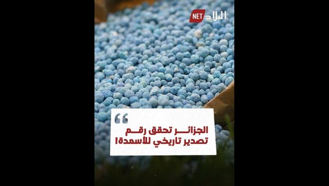 الجزائر تحقق رقما تاريخيا وغير مسبوق في صادراتها من الأسمدة