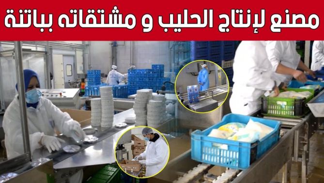مصنع إنتـاج الحليـب ومشتقـاتـه.. تجـربـة رائـدة ورهـان على رفع الإنتـاج