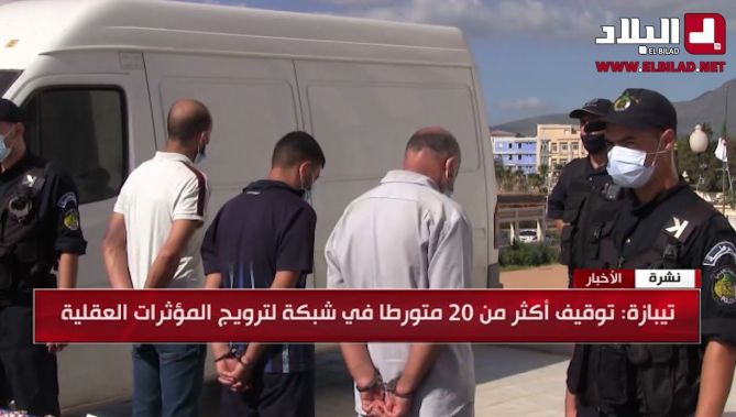 أمن ولاية تيبازة يوقف أكثر من 20 متورطا في شبكة لترويج المؤثرات العقلية .. شاهد