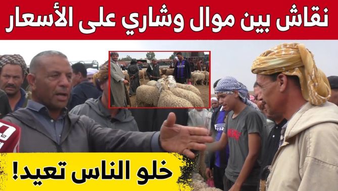 نقاش حاد بين أحد الموالين ومواطن حول أسعار الماشية.. "راه جاب ربي الخير خلو الناس تعيّد".. شاهدوا: