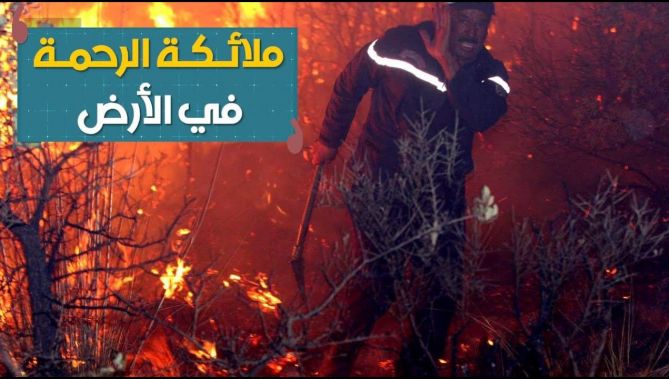 رجال الحماية المدنية .. "جنود الرحمان" في مواجهة حرائق الغابات .. شاهد: