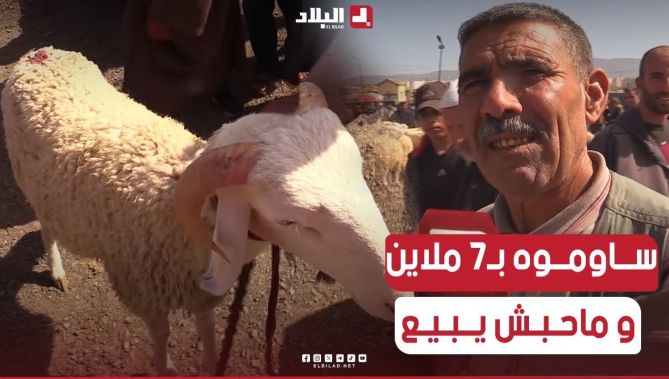 شاهد #أحد_الموالين في #سوق_المواشي🐑 بالبويرة ..يرفض بيع بـ 7 #ملايين طالب كثر😱