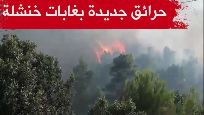 الحرائق تشتعل مجددا بغابات طامزة في ولاية خنشلة