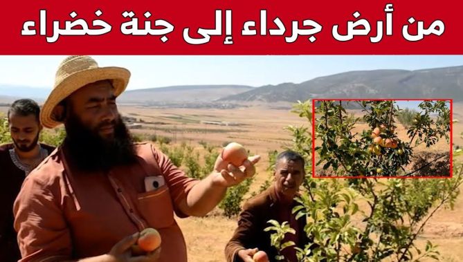 طاهر وسليم.. قصة تحدي لتحويل أرض جبلية جرداء إلى "جنة خضراء".. شاهد: