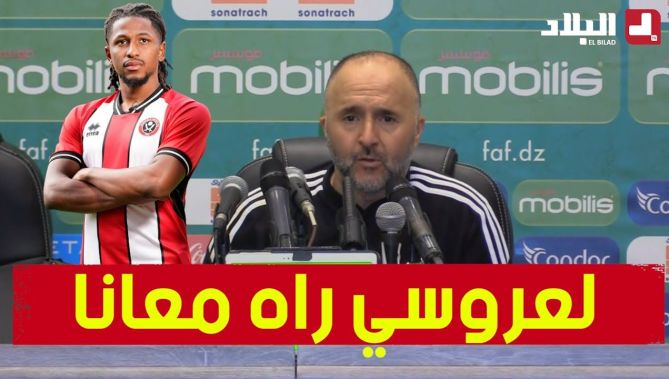 بلماضي يؤكد انضمام لاعب شيفيلد يونايتد الإنجليزي ياسر لعروسي إلى المنتخب الوطني : البلاد