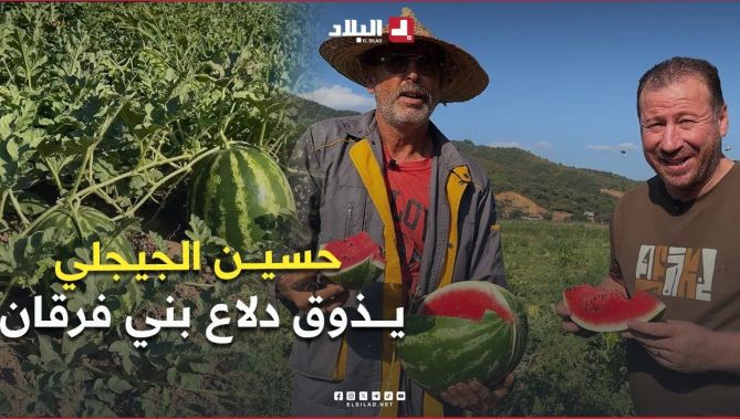 #شاهد #حسين_الجيجلي من "#بني_فرقان" في #ولاية_جيجل راح يكتشف واحد من أجود أنواع #الــــدلاع.. "