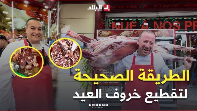 #شاهد الطريقة الصحيحة لتقطيع #خروف_العيد مع #حسيـــن_الجيجــلي