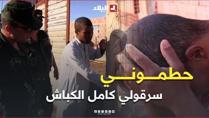 لصوص المواشي .. هاجس يؤرق الموالين مع اقتراب عيد الأضحى!