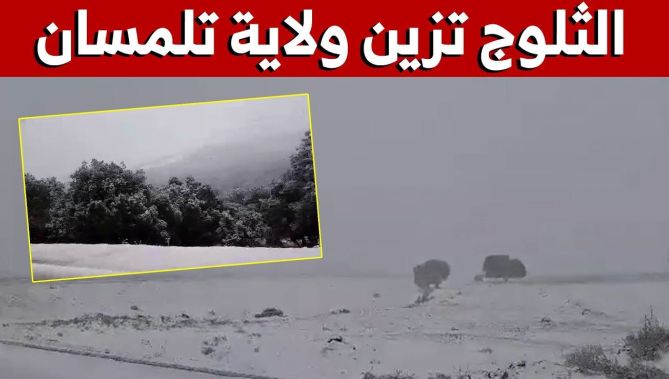 شاهد.. الثلوج تزيّن أعالي ولاية #تلمسان صباح اليوم الجمعة