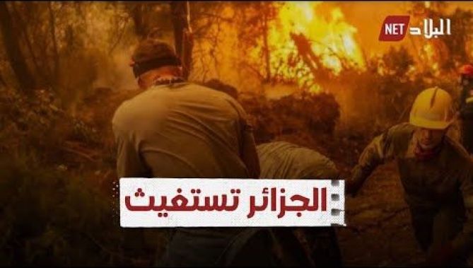 غابات جزائرية تلتهب وسكانها يعيشون الرعب .. والطارف وتيزي وزو الأكثر ضررا