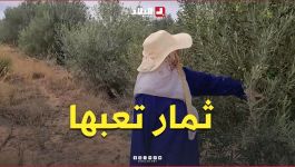 "الحاجة فاطمة مازالت تخدم وتتعب وتنتظر ثمار تعبها".. #شاهدوا_القصة