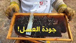 #شاهدوا.. السيدة غنية تروي تفاصيل وأسرار النحل وجودة العسل !